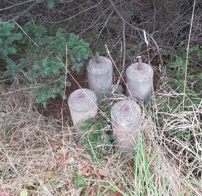 Hebron 1