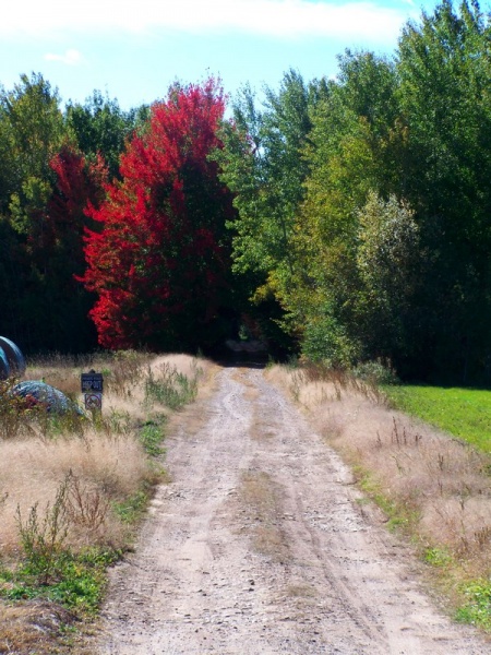 File:100 1367.jpg