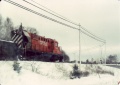 1828 wb at smiths cove.jpg