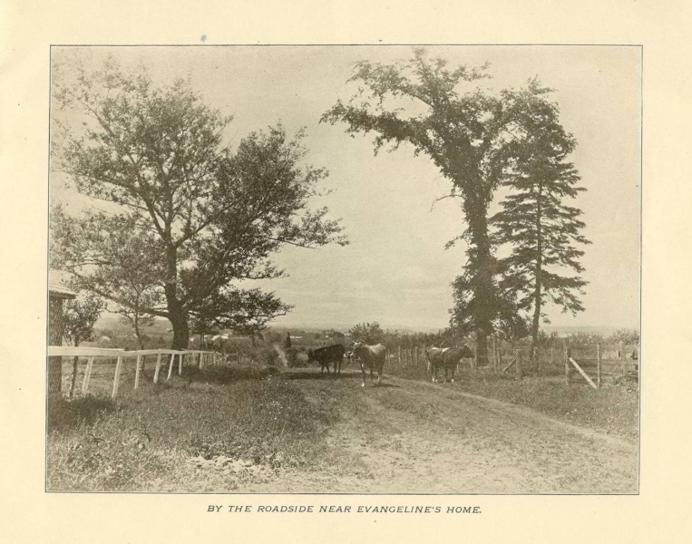 File:1903-LANDOFEVANGELINE-P07.jpg