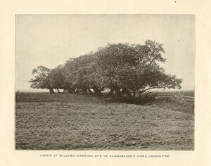 1903-LANDOFEVANGELINE-P10.jpg