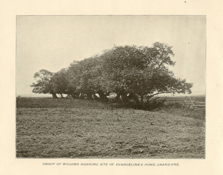 File:1903-LANDOFEVANGELINE-P10.jpg