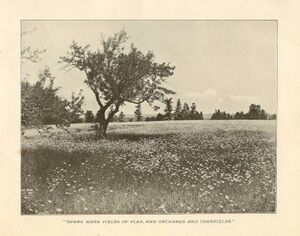 1903-LANDOFEVANGELINE-P13.jpg