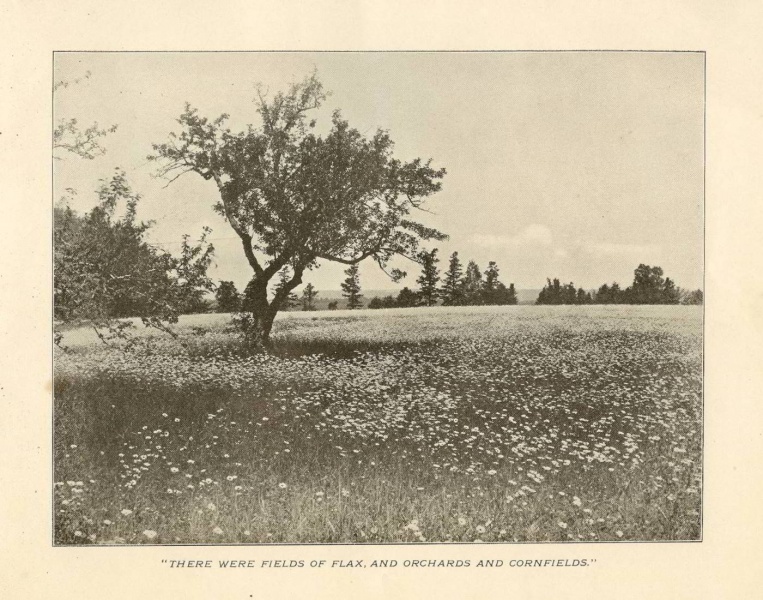 File:1903-LANDOFEVANGELINE-P13.jpg
