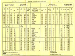 1979 Via TT-back.jpg