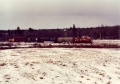 8134bloomfieldwinter.jpg