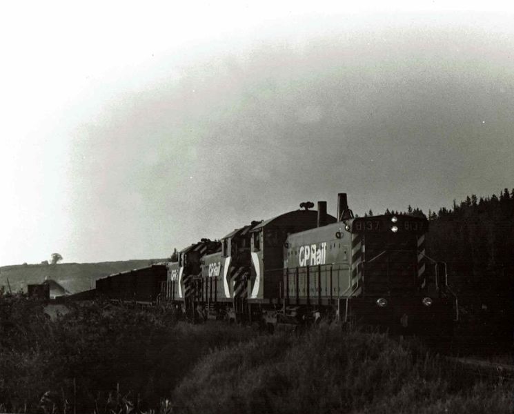 File:8137 with gypsum train at Mantua.jpg