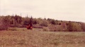 Brushcutter1.jpg