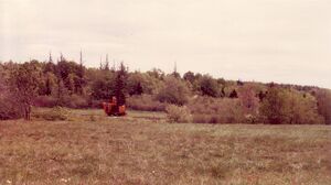 Brushcutter1.jpg