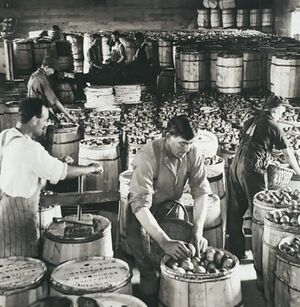 Burgess warehouse EShields.jpg