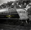 CNR - Engine 6537 with Glen Conrad - Princess Margaret Train - Windsor - Harold Jenkins Photo - Summertime 1958.JPG