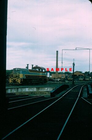 CPR8131f.jpg