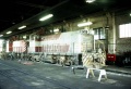 CPR8137-8139a.jpg