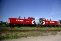 CPR8137-8140a.jpg