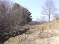CanardBridge.JPG