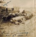Canning wreck 1912.jpg