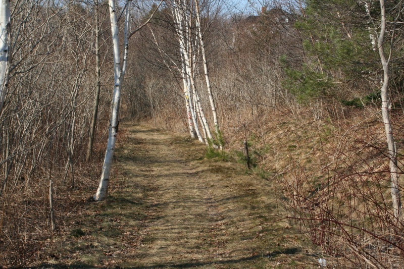 File:Clementsport 3.jpg