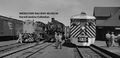 DAR-Engines65616560SE1038RDC9059-Windsor-HJP-August1956.JPG