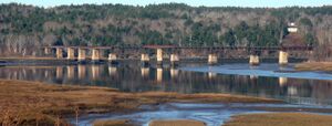 DAR-bridge-Sissapoo-River-2010nov30.jpg