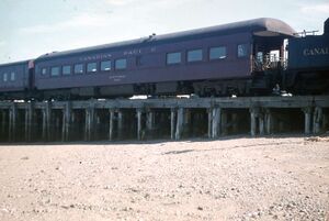 DAR006613 b.jpg