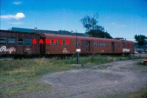 DAR411745a.jpg