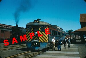 DAR9058-2627.jpg