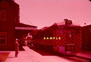 DAR9058d.jpg
