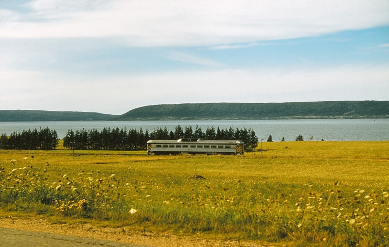 File:DAR RDC 3.jpg
