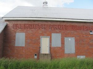 Falmouth IMG 1289.JPG