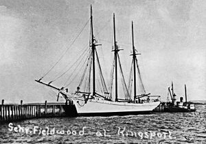 Fieldwood01gsSmall.jpg