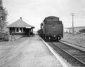 Gertridge009.jpg
