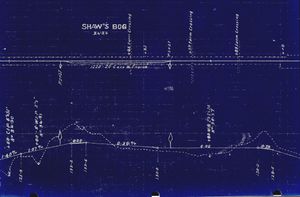 HA-34.54 Shaw's Bog.jpg
