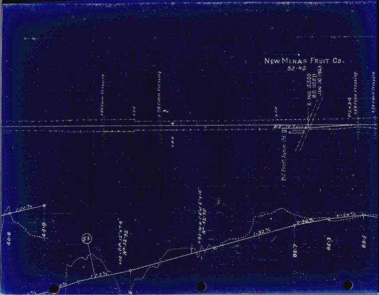 File:HA-52.42 New Minas Fruit Company.jpg