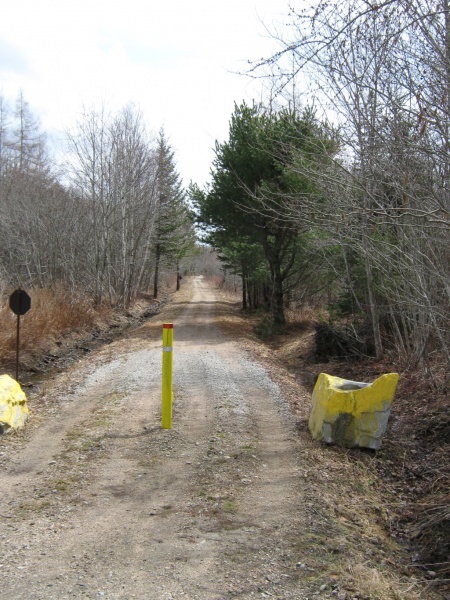 File:IMG 0136.jpg