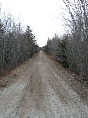 IMG 0139.jpg