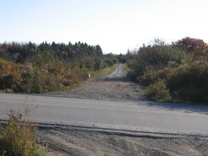 IMG 3786.JPG