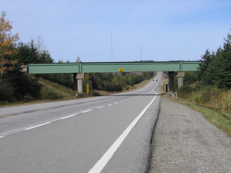 File:IMG 3823.jpg