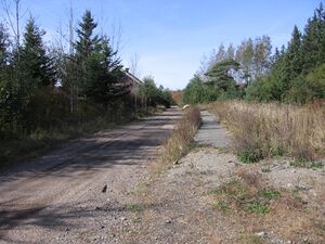 IMG 3825.jpg