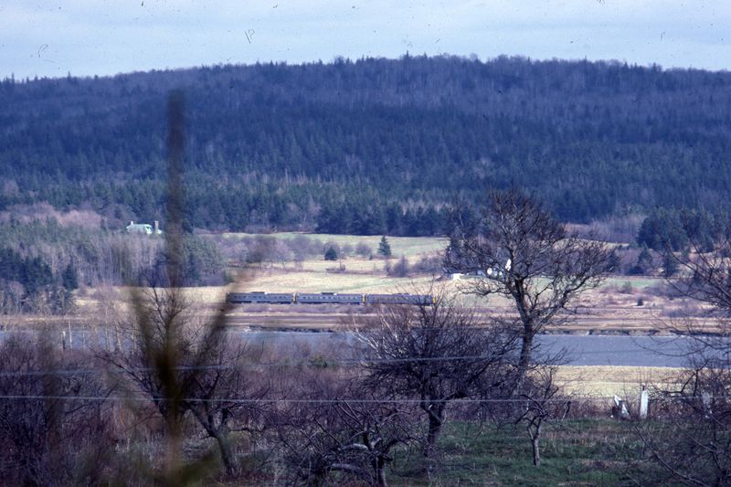 File:Img645.jpg