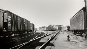 Kalkman014.jpg