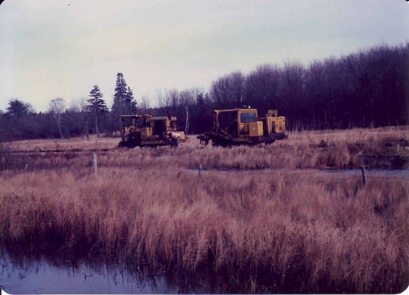 File:Mow bloomfield3.jpg