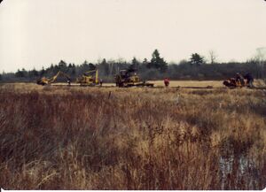 Mow bloomfield7.jpg