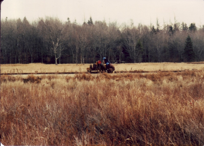 File:Mow bloomfield8.jpg