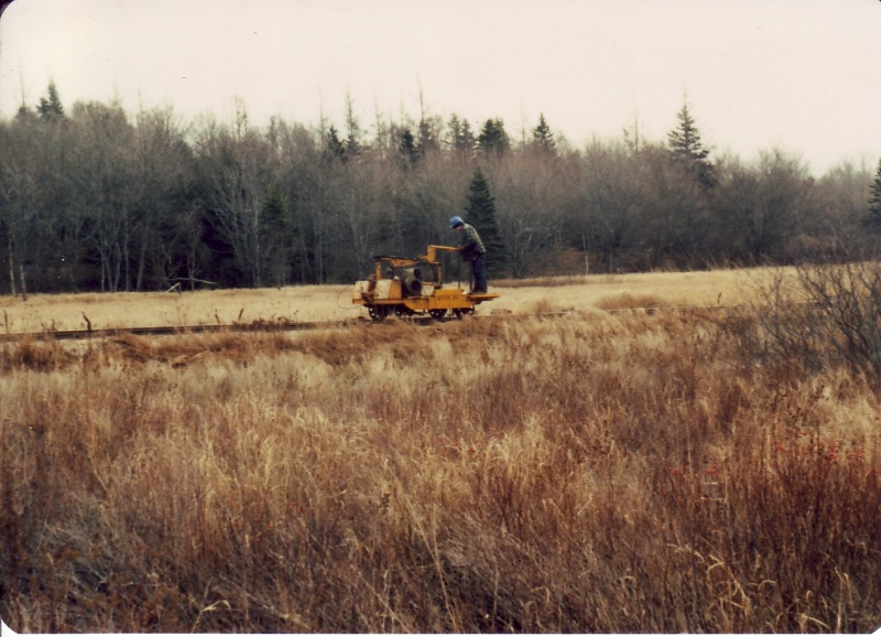 File:Mow bloomfield9.jpg