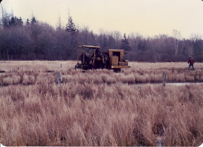 File:Mow bloomfield 1.jpg