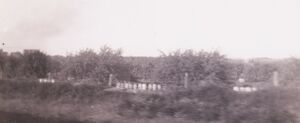 Orchard from train.jpg
