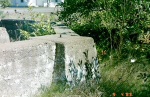 PeterSayers062 1.jpg