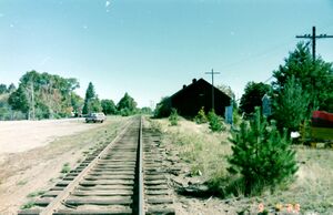 PeterSayers064 1.jpg