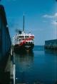 SS Evangeline 1954 a.jpg