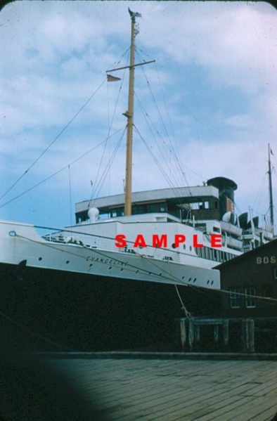 File:SS Evangeline 1954 b.jpg